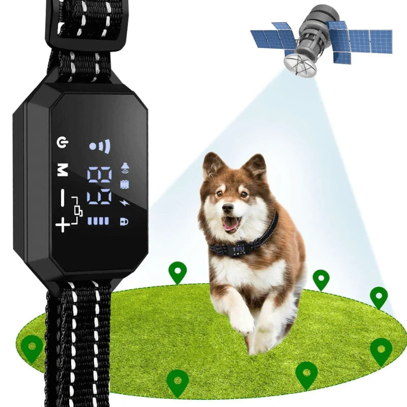 Golden retriever wearing Hugssnpaws GPS Wireless Dog Fence collar outdoors