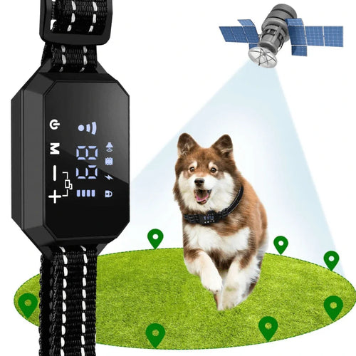 Golden retriever wearing Hugssnpaws GPS Wireless Dog Fence collar outdoors