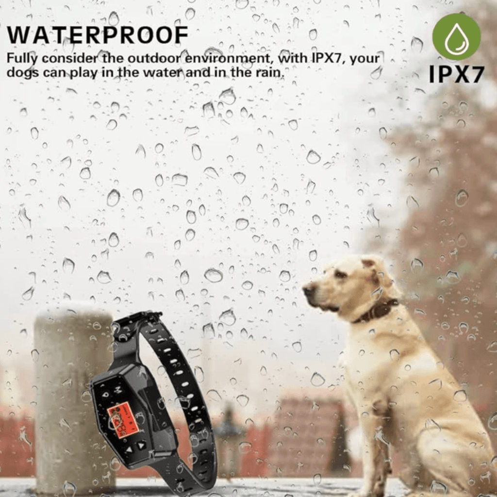 Golden retriever wearing Hugssnpaws GPS Wireless Dog Fence collar outdoors