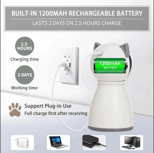 Cat chasing Hugssnpaws Automatic Laser Toy light in living room