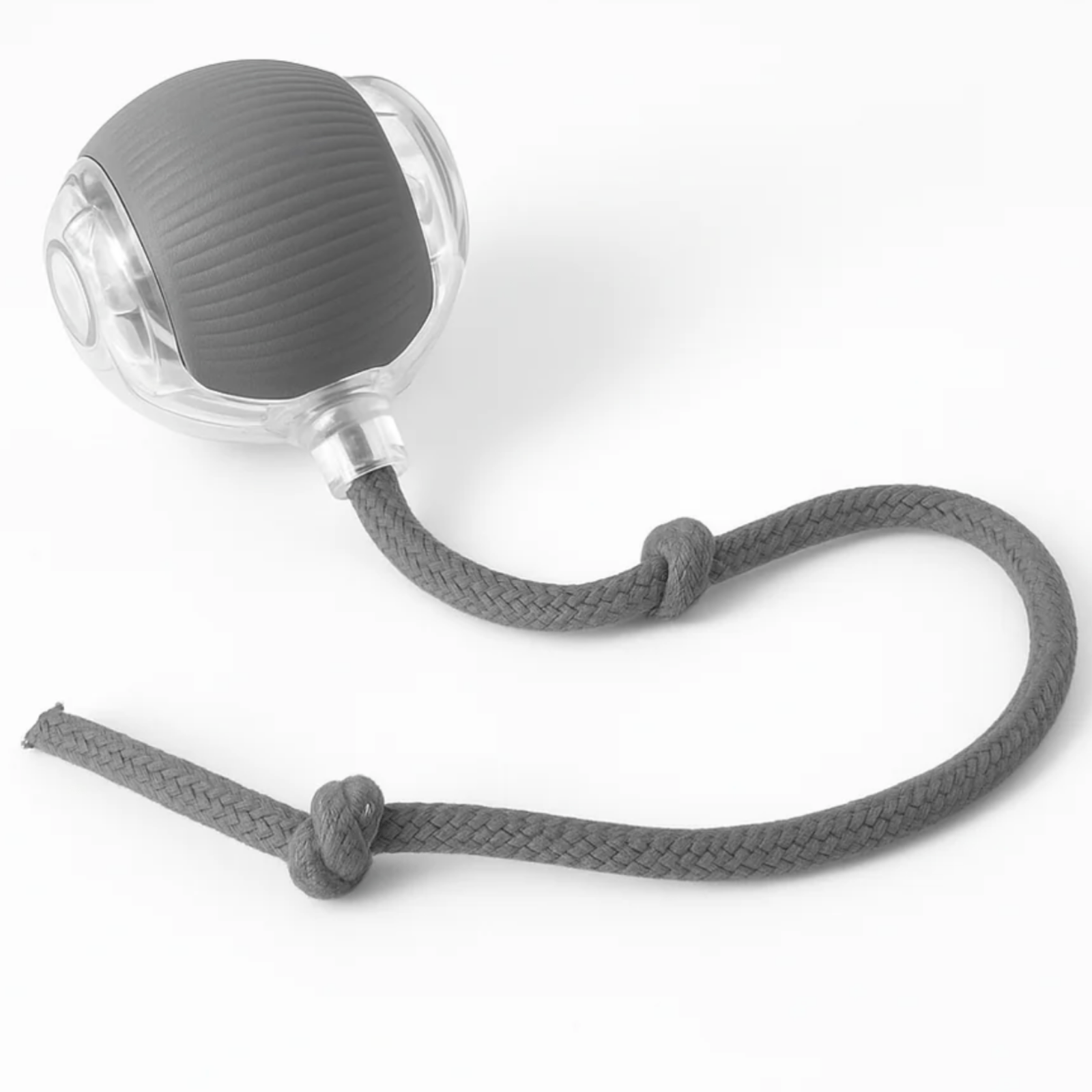 Hugssnpaws Interactive Pet Ball rolling on floor with playful dog and cat