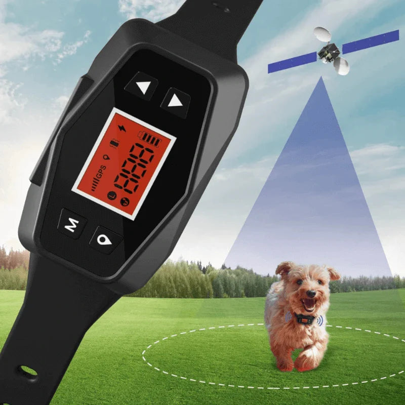 Golden retriever wearing Hugssnpaws GPS Wireless Dog Fence collar outdoors